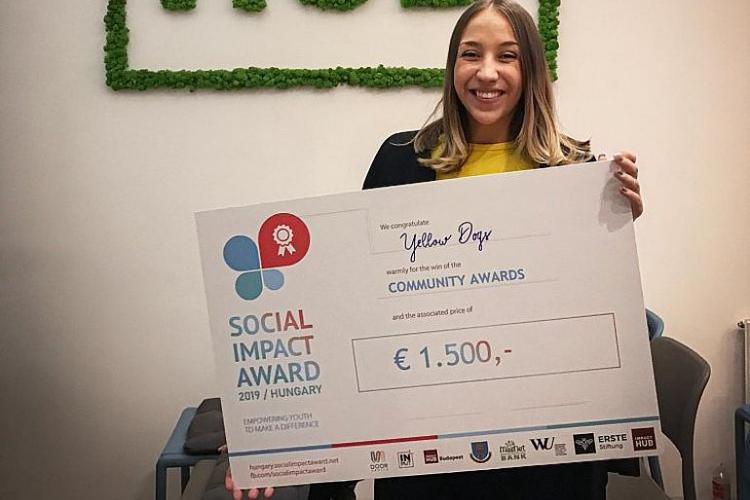 Yellow Dogs projekt – Nyíregyházi kutyabarát országos közönségdíja
